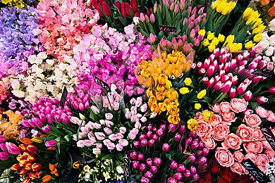 印度玩家被国产3A整破防？这回欧美玩家也绷不住了